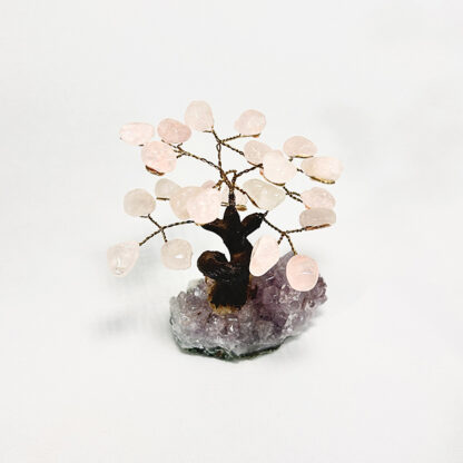 Bonsai Quartzo rosa - Image 9