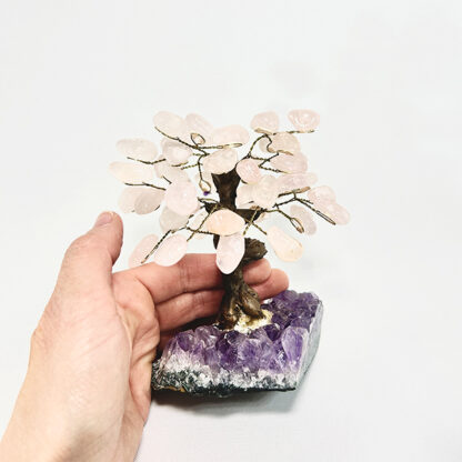 Bonsai Quartzo rosa - Image 4