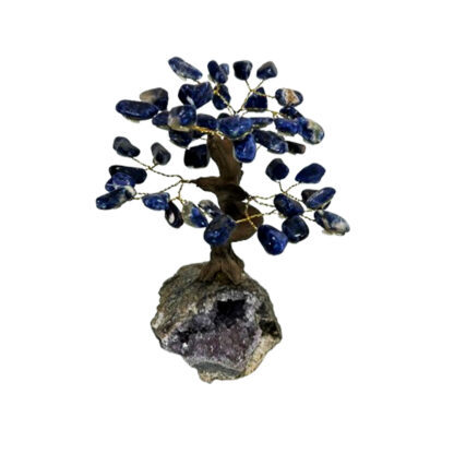 Bonsai Sodalita