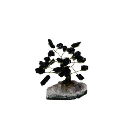 Bonsai Turmalina Negra - Image 6