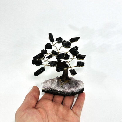 Bonsai Turmalina Negra - Image 8